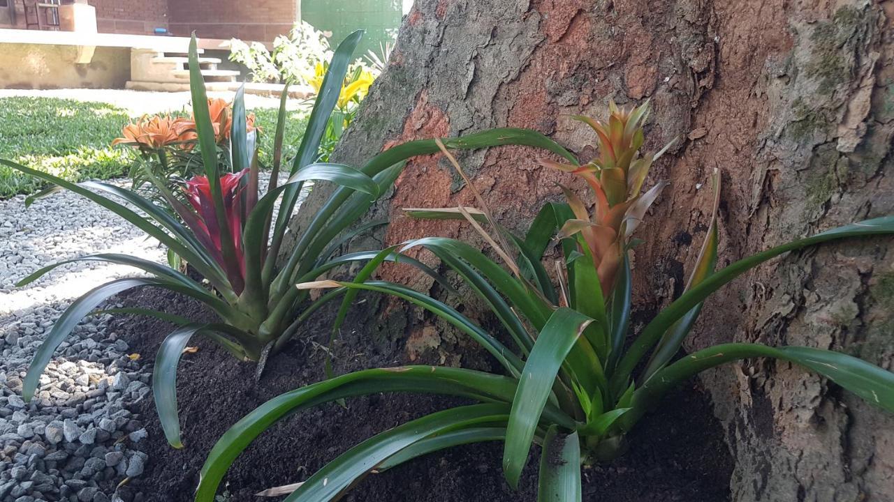 Hospedagem Economica Flor De Maria Caraguatatuba Exteriér fotografie